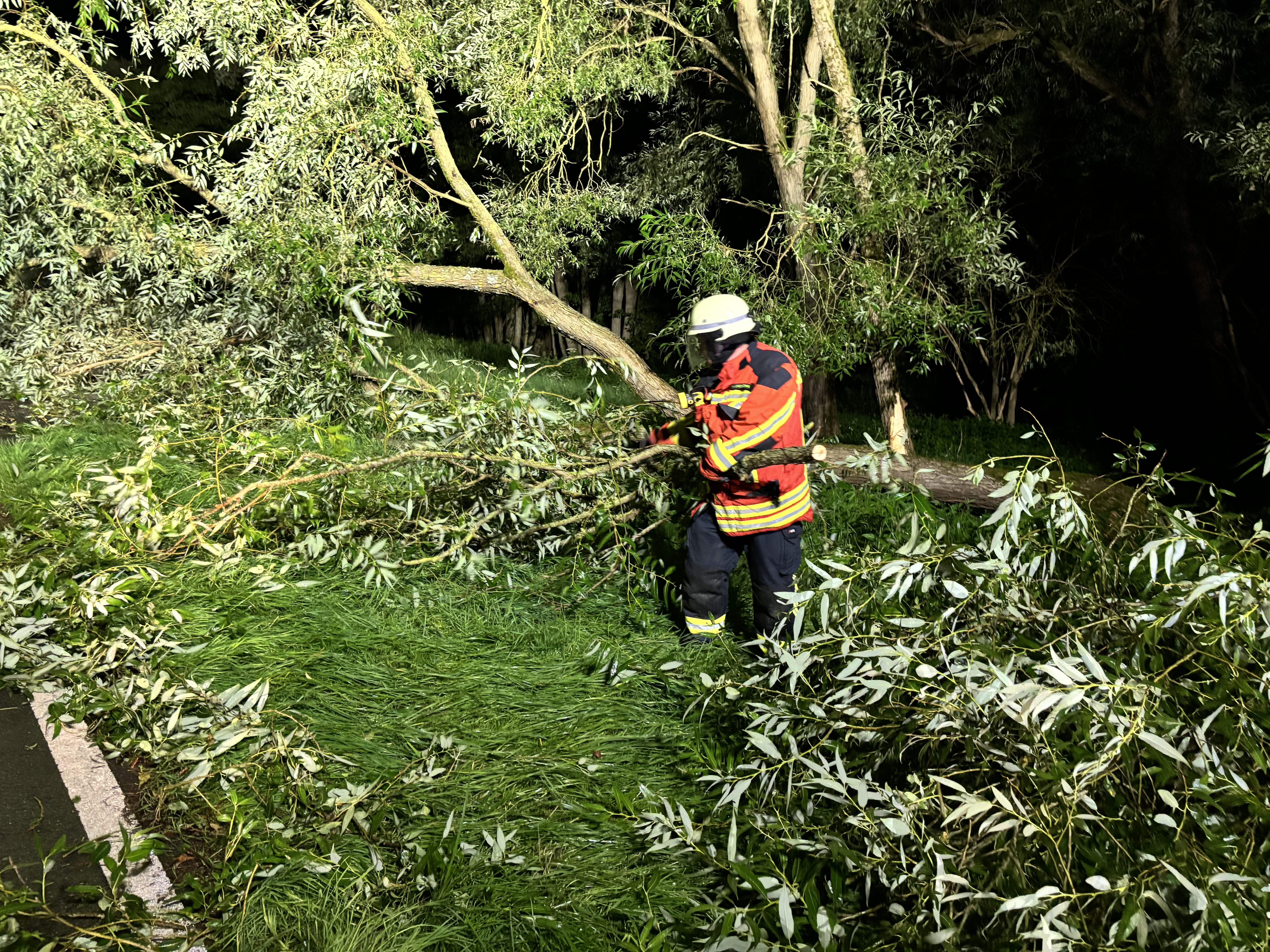 24-07-06 22-47-01 8016.jpg